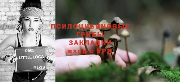 ГАЛЛЮЦИНОГЕННЫЕ ГРИБЫ Армянск