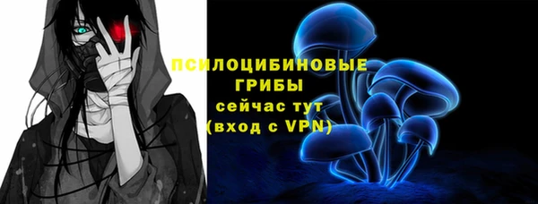 МДПВ Арсеньев