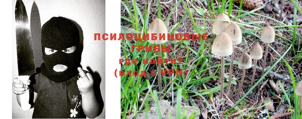 МДПВ Арсеньев